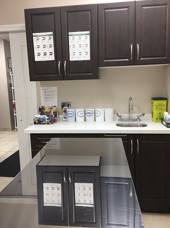 Simcoe Rossland Animal Hospital | 58 Rossland Rd W, Oshawa, ON L1G 2V5, Canada | Phone: (905) 571-7333