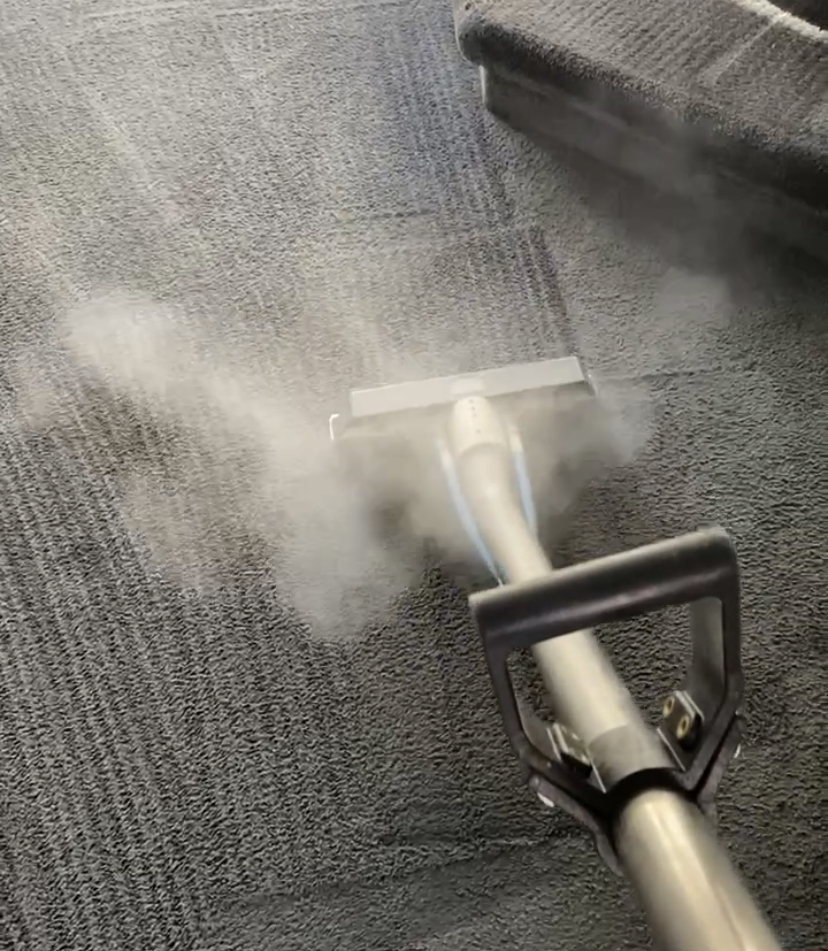 Rhino Carpet Cleaning | 551 Wilson St, Steinbach, MB R5G 0J5, Canada | Phone: (204) 381-0266