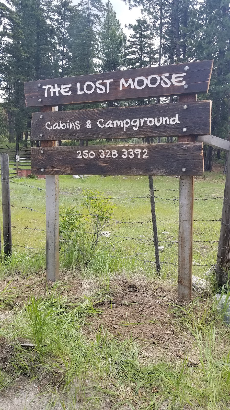The Lost Moose | 2301 Beaver Dell Rd, Penticton, BC V2A 8V6, Canada | Phone: (250) 328-3392
