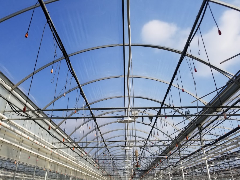 Excalibur Plastics Warehouse | 2089 Peterson Ln, Kingsville, ON N9Y 2E5, Canada | Phone: (519) 326-6000