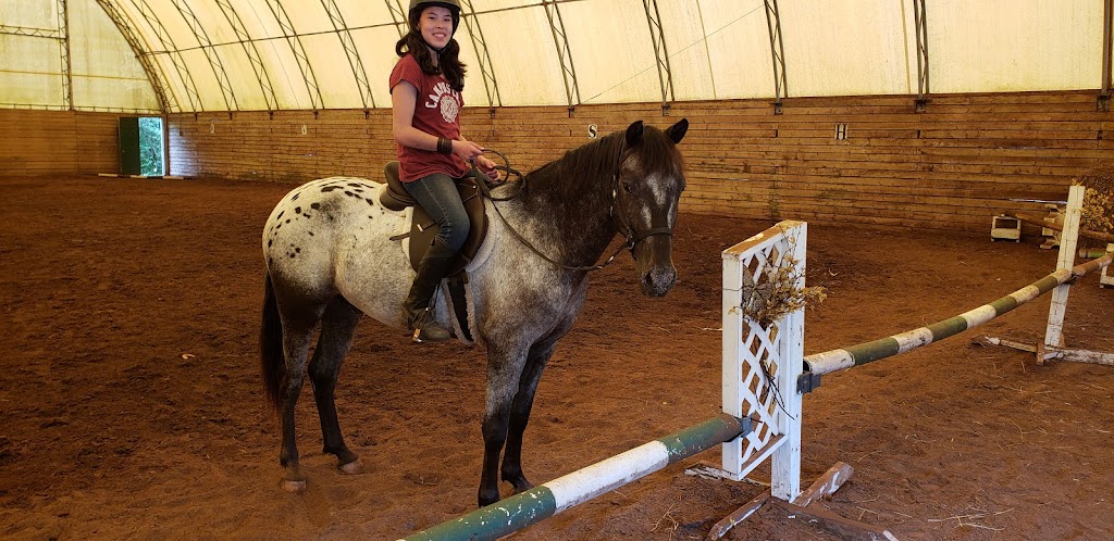 Bridle Path Equestrian Centre | 2t0, 141 N Diagonal, Hepworth, ON N0H 1P0, Canada | Phone: (226) 808-5581