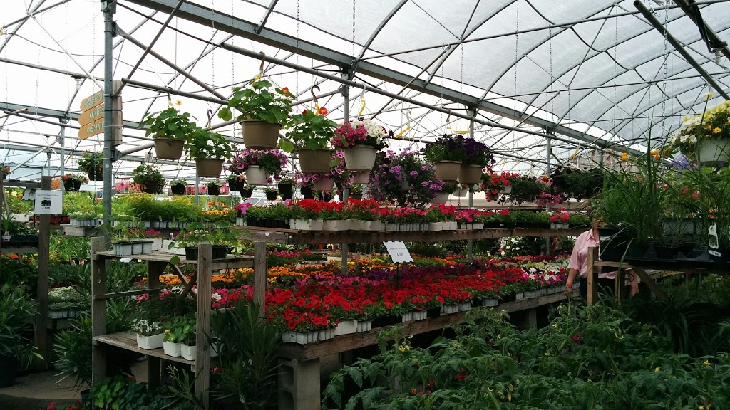 Hortibeauce | Centre Jardin BOTANIX | 333 Route Cameron, Sainte-Marie, QC G6E 3E2, Canada | Phone: (418) 387-7595