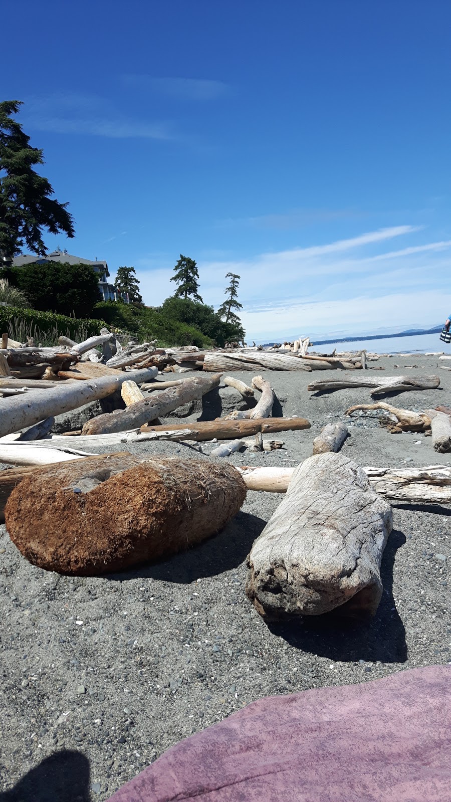 Agate Park | 2M1, 5179 Agate Ln, Victoria, BC V8Y 2M1, Canada