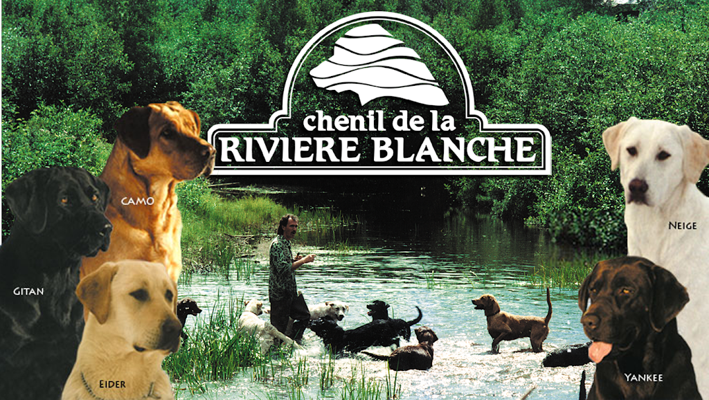 Chenil de la Rivière Blanche Inc | 140 Ch Forsight, Saint-Didace, QC J0K 2G0, Canada | Phone: (450) 835-5848