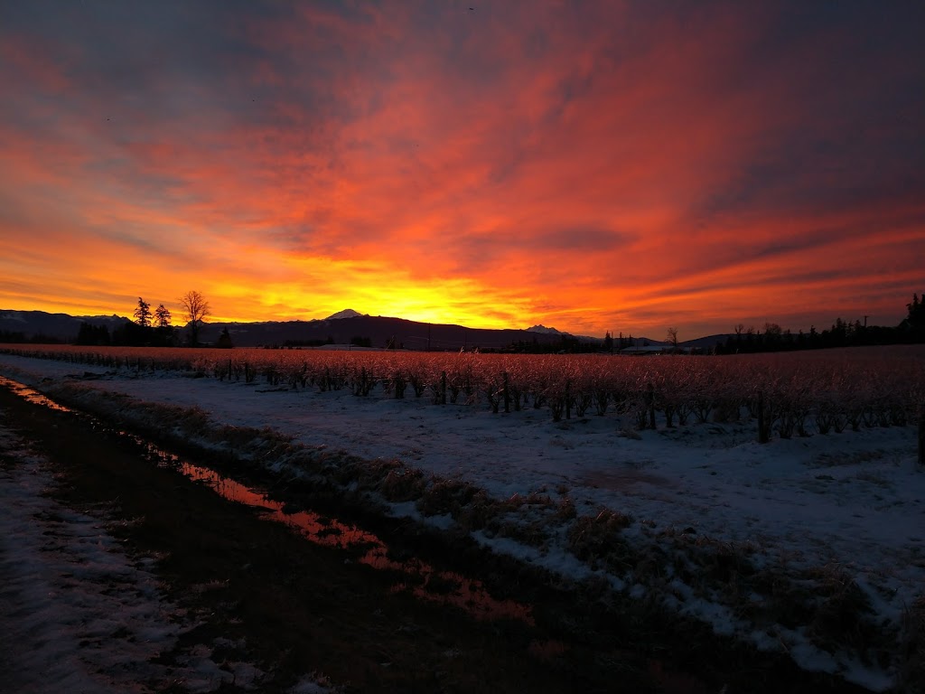 Pioneer Park Cooperative Housing Association | 27111 0 Ave, Aldergrove, BC V4W 2S9, Canada | Phone: (604) 856-6100