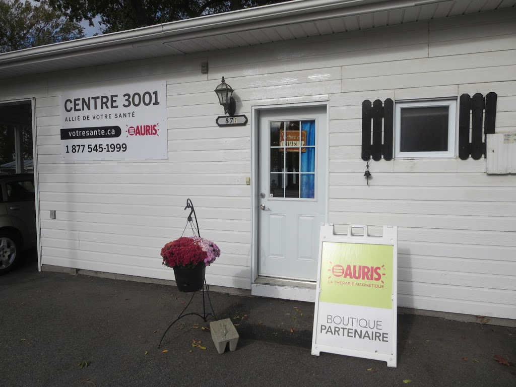 Centre 3001 / Pro-Actif | 871 Chemin des Pionniers E, Cap-Saint-Ignace, QC G0R 1H0, Canada | Phone: (877) 545-1999
