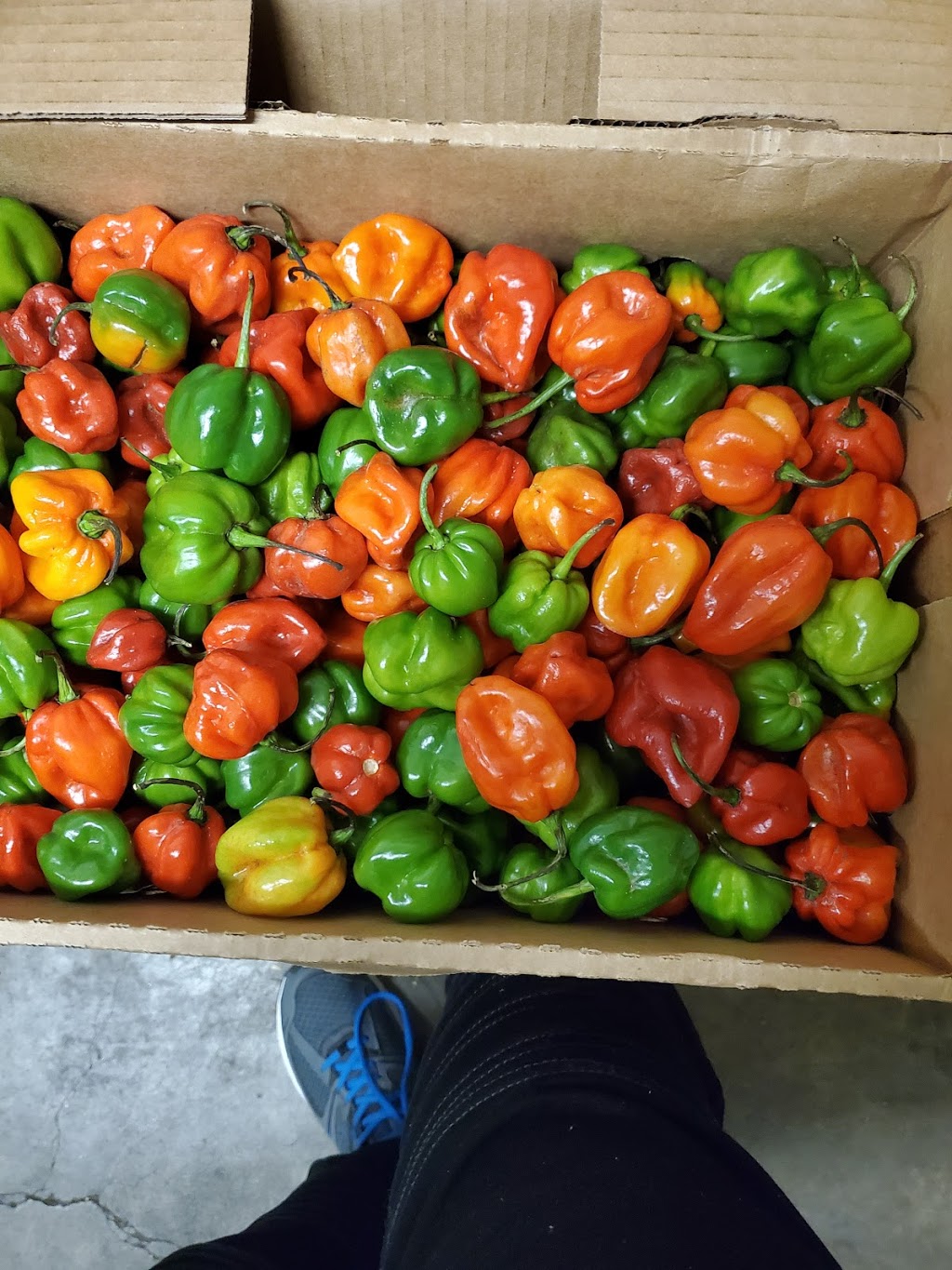 Amerex Caribbean Grocers | 707 Kennedy Rd, Scarborough, ON M1K 2C1, Canada | Phone: (905) 598-3525