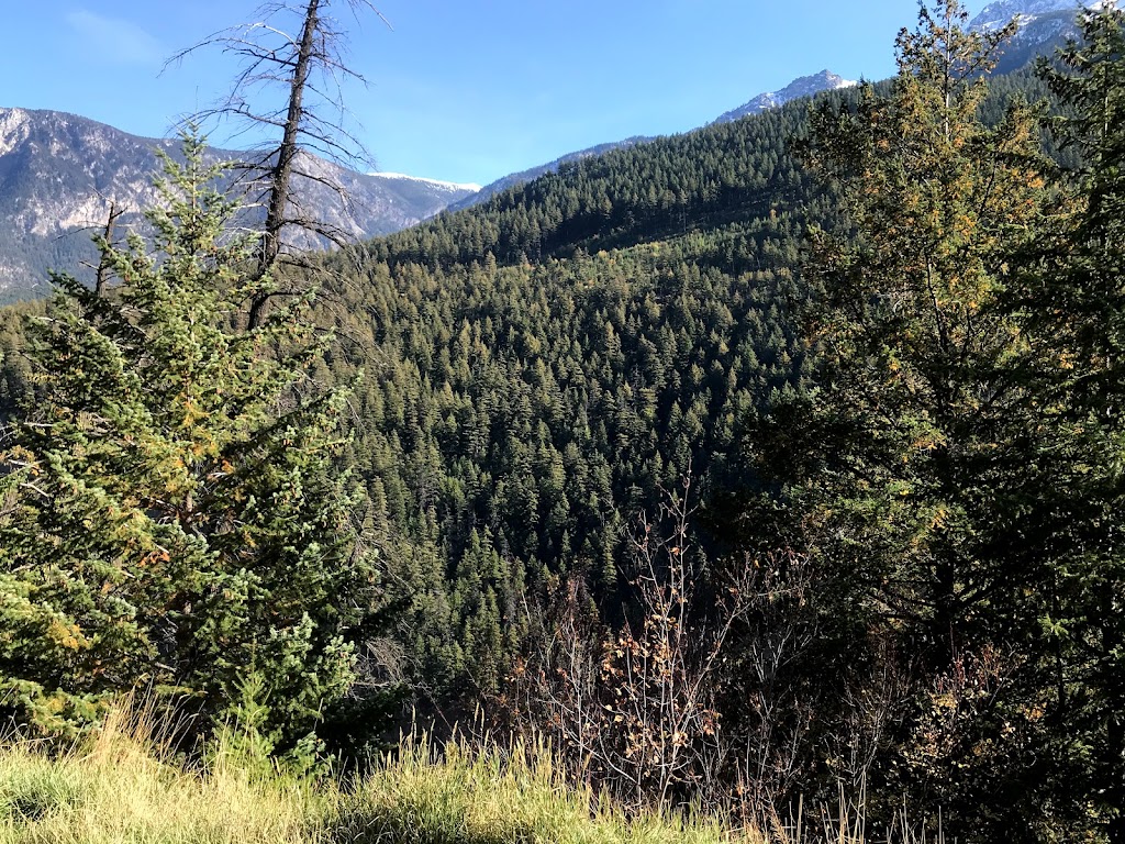 Duffey Lake Provincial Park | DArcy, BC V0N 1L0, Canada | Phone: (800) 689-9025