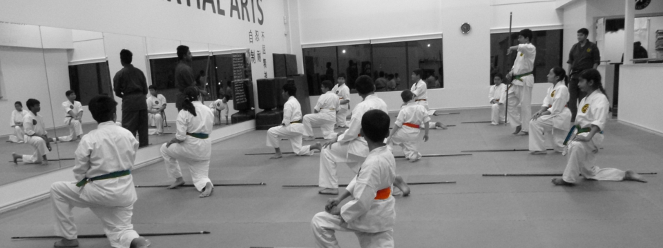 Wellness Martial Arts | 2131 Williams Pkwy Unit #2, Brampton, ON L6S 5Z4, Canada | Phone: (905) 790-3382