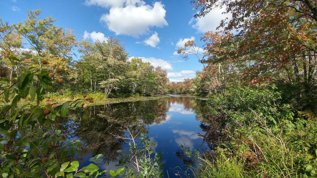 Missisquoi National Wildlife Refuge Admin Building And Visitor C | 29 Tabor Rd, Swanton, VT 05488, USA | Phone: (802) 868-4781