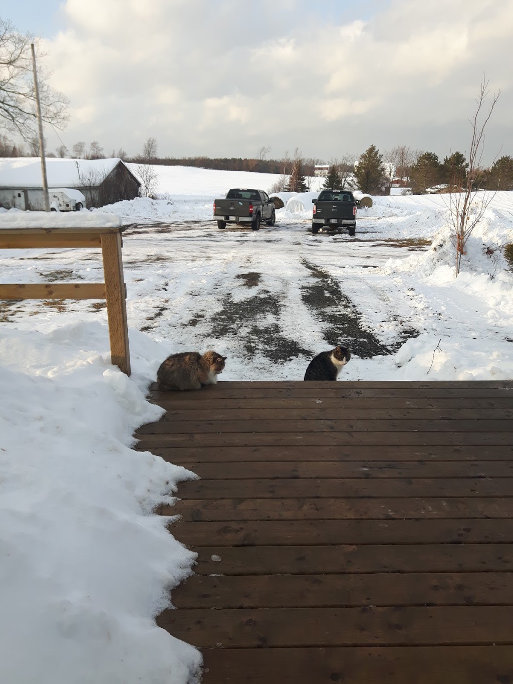 Ebbetts Meadow Brook Farm Market | 8647 NS-311, Tatamagouche, NS B0K 1V0, Canada | Phone: (902) 657-2122