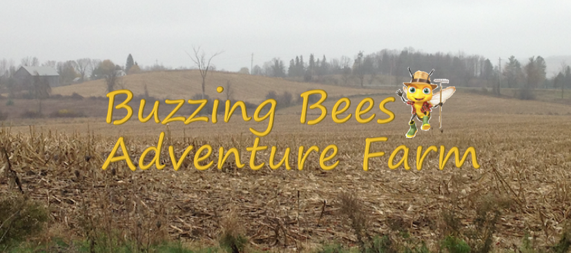 Buzzing Bees Adventure Farm | 1070 Concession Rd 5, Sunderland, ON L0C 1H0, Canada | Phone: (905) 409-4626