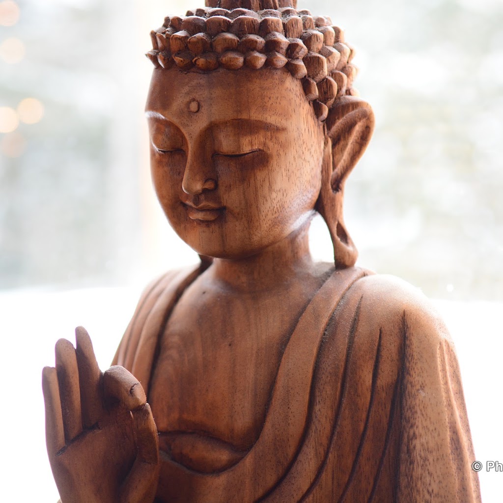 Yoga Salamandre | 151 Chemin Brandy, Foster, QC J0E 1R0, Canada | Phone: (514) 659-7213