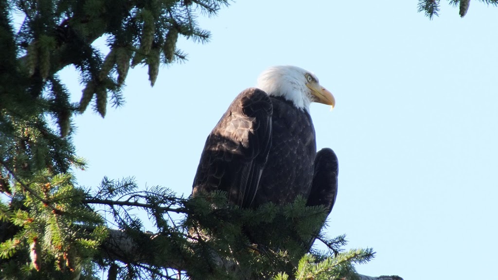 Eagle View Vacation Rental Parksville B.C. | 923 Glenhale Crescent, Parksville, BC V9P 1Z7, Canada | Phone: (250) 927-7030