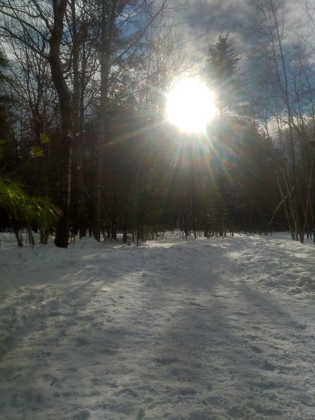 Parc Châteaudun | 900 Rue Saint-Laurent, Trois-Rivières, QC G8T 6C4, Canada