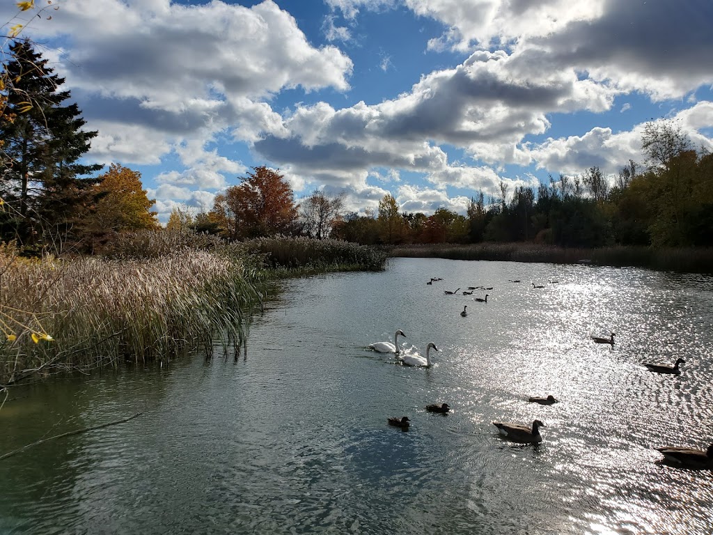 Milliken Park Community Recreation | 4325 McCowan Rd, Scarborough, ON M1V 4P1, Canada | Phone: (416) 396-7757