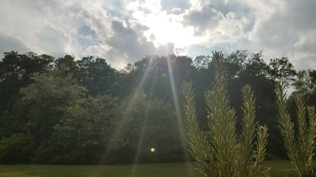 Royalton Ravine Park | Gasport Rd, Gasport, NY 14067, USA | Phone: (716) 439-7951