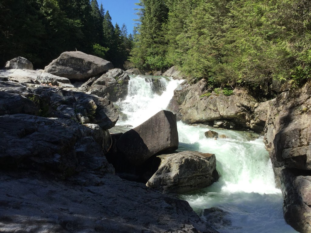 Widgeon Valley National Wildlife Area | Greater Vancouver A, BC, Canada