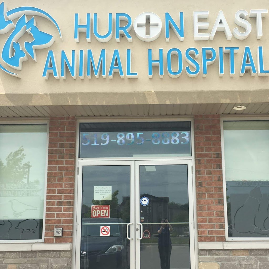 Huron East Animal Hospital | 1606 Battler Rd d, Kitchener, ON N2R 0C9, Canada | Phone: (519) 895-8883