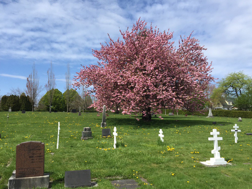Mountain View Cemetery | 5455 Fraser St, Vancouver, BC V5W 2Z3, Canada | Phone: (604) 325-2646