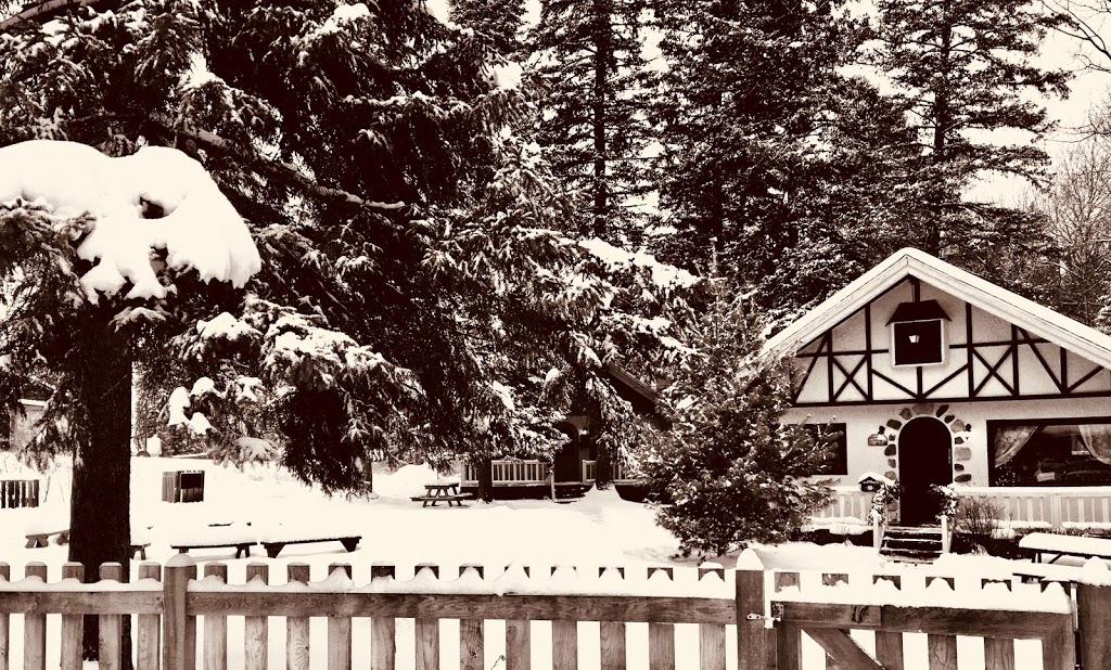 Le Village Suisse - Chalets | 1175 Rue de la Sapinière, Val-David, QC J0T 2N0, Canada | Phone: (877) 978-4773