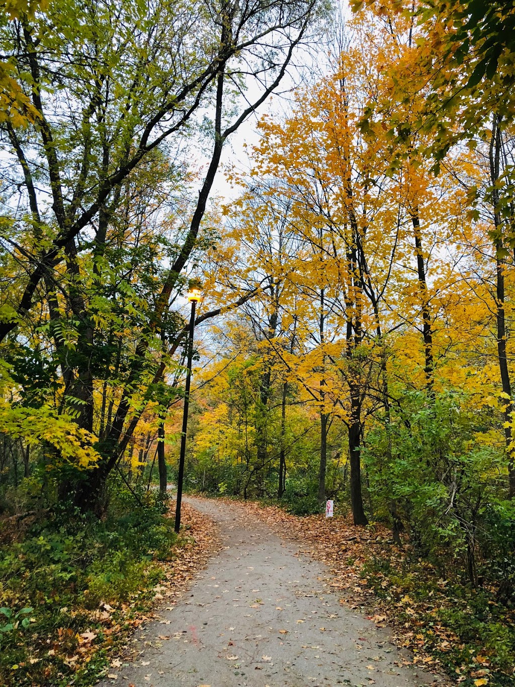Mississauga Valley Park | 1275 Mississauga Valley Blvd, Mississauga, ON L5A 3R8, Canada | Phone: (905) 615-4100