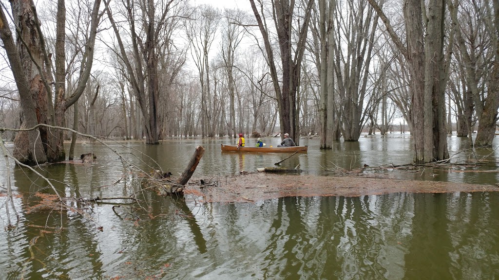 Minesing Wetlands | 363 Mill St, Angus, ON L0M 1T2, Canada | Phone: (705) 424-1479