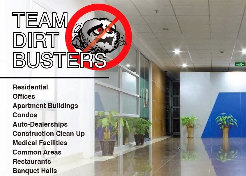 Dirtbusters Cleaning Inc | 83 Lake St, Hamburg, NY 14075, USA | Phone: (716) 536-1651