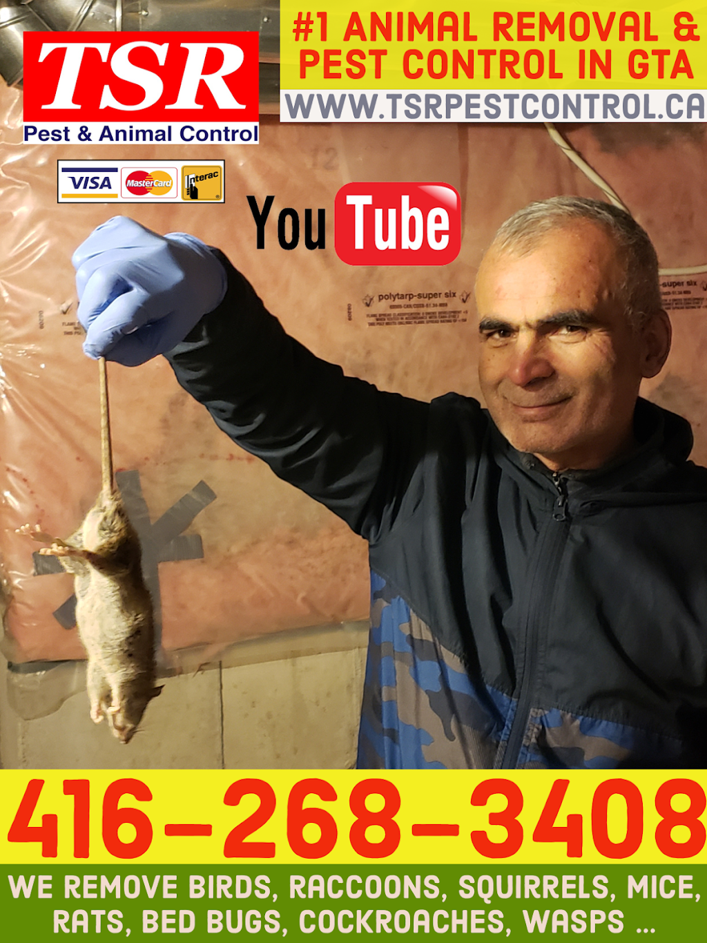 TSR PEST CONTROL & WILDLIFE REMOVAL | 105 Loch Erne Ln, King, ON L0G 1N0, Canada | Phone: (416) 268-3408