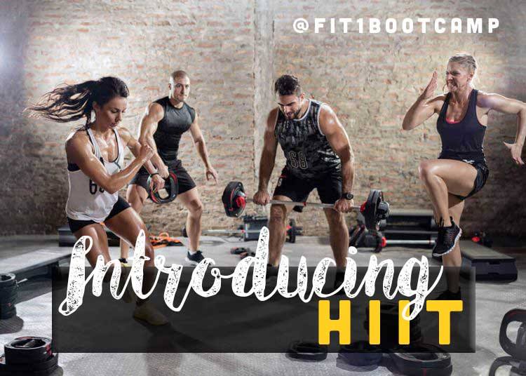 Fit 1 Bootcamp | 46 Fieldway Rd #8, Etobicoke, ON M8Z 3L2, Canada | Phone: (647) 776-7776