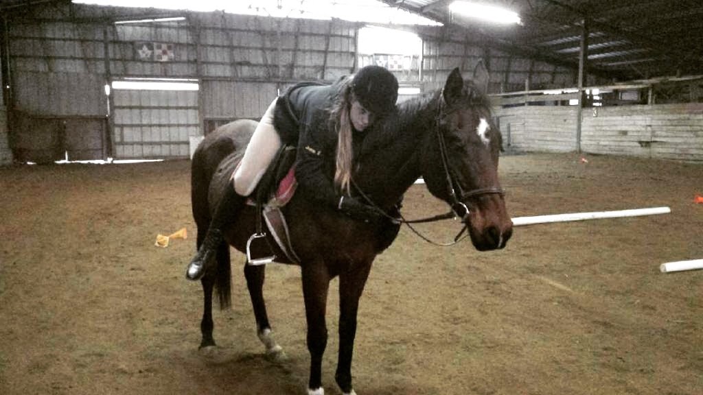 MJM EQUESTRIAN CENTRE | 6095 Dickenson Rd E, Hannon, ON L0R 1P0, Canada | Phone: (905) 679-1284