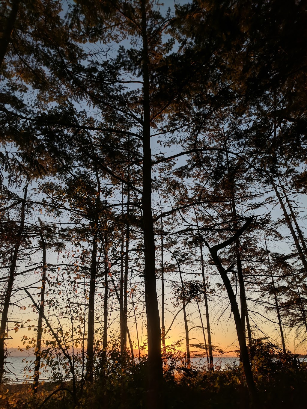 Rathtrevor Beach Campground | 1240 Rath Rd, Parksville, BC V9P 2E2, Canada | Phone: (250) 474-1336