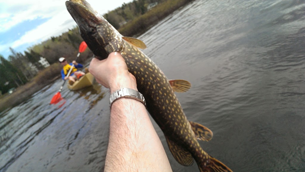 Club Nautique Lac St-Charles Inc | 1527 Chem. de la Grande Ligne, Stoneham-et-Tewkesbury, QC G3C 0Y5, Canada | Phone: (418) 849-6163