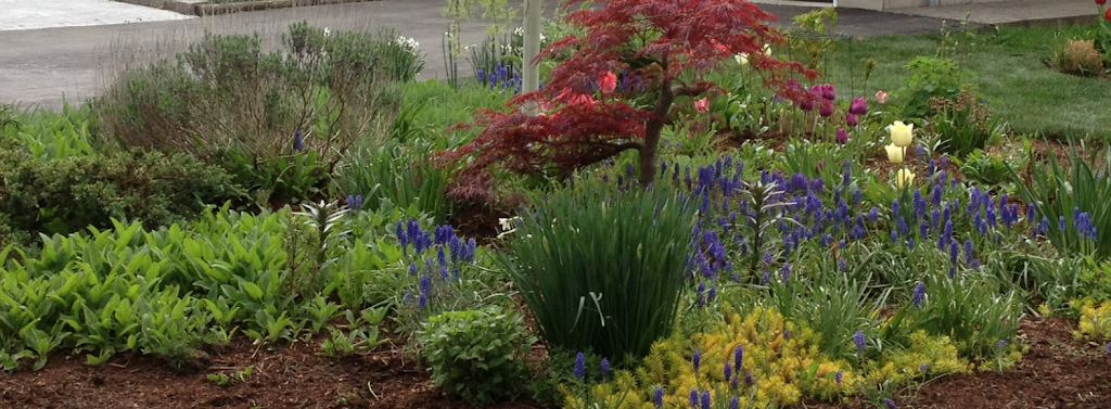 Earth Angel Landscape & Property Maintenance | 2936 Lakeshore Rd, Port Rowan, ON N0E 1M0, Canada | Phone: (289) 228-2509