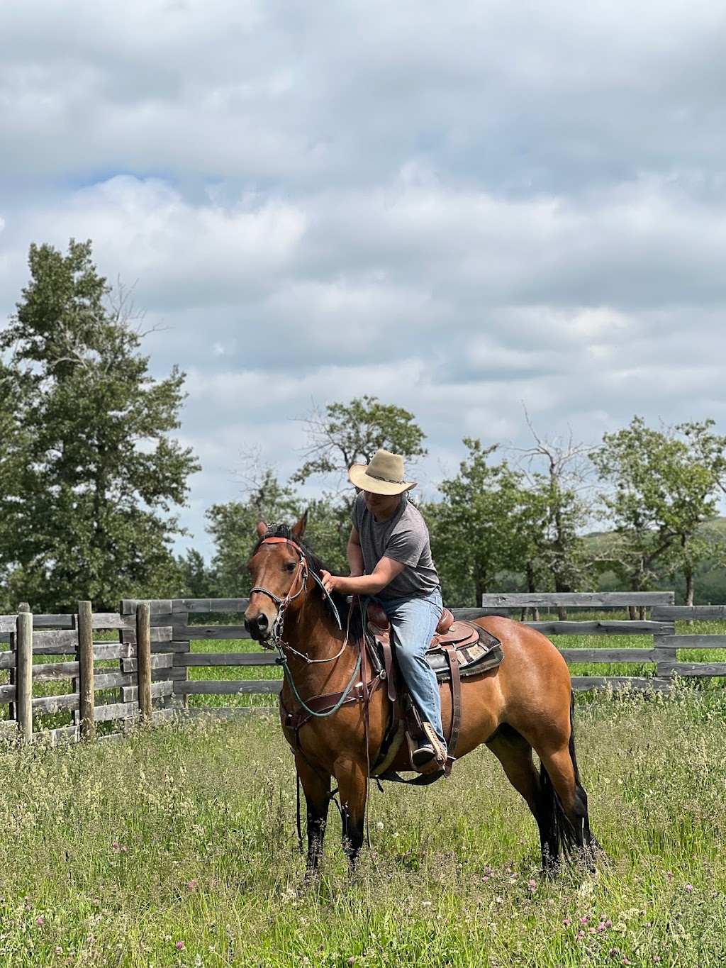Noble Ranch Bed and Breakfast | 6032 RRD2-2A, Pincher Creek, AB T0K 1W0, Canada | Phone: (403) 627-8117