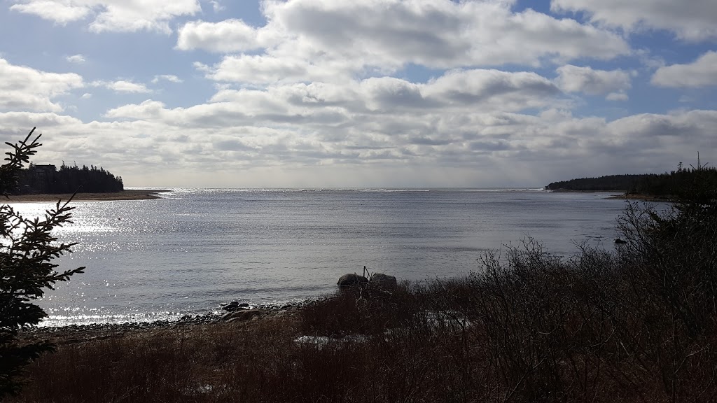 Atlantic View Trail | Atlantic View Trail, Halifax, NS B2Z 1P7, Canada