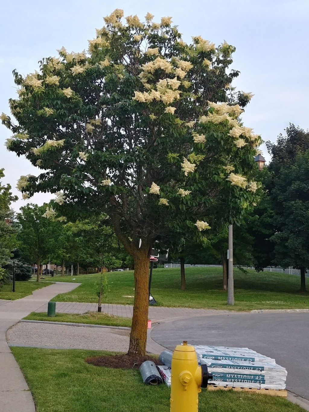 Ventura Park | 32 Mulholland Dr, Thornhill, ON L4J 7T7, Canada | Phone: (905) 832-2281