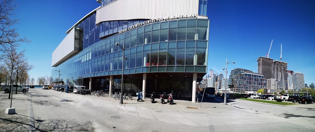 George Brown College Waterfront Campus | 51 Dockside Dr, Toronto, ON M5A 1B6, Canada | Phone: (416) 415-2000