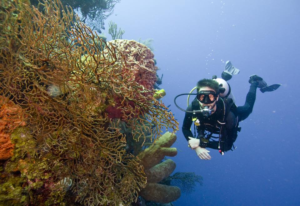 Blue Oasis Dive Centre Ltd. | 440 Watt St, Winnipeg, MB R2K 2R8, Canada | Phone: (204) 253-2583