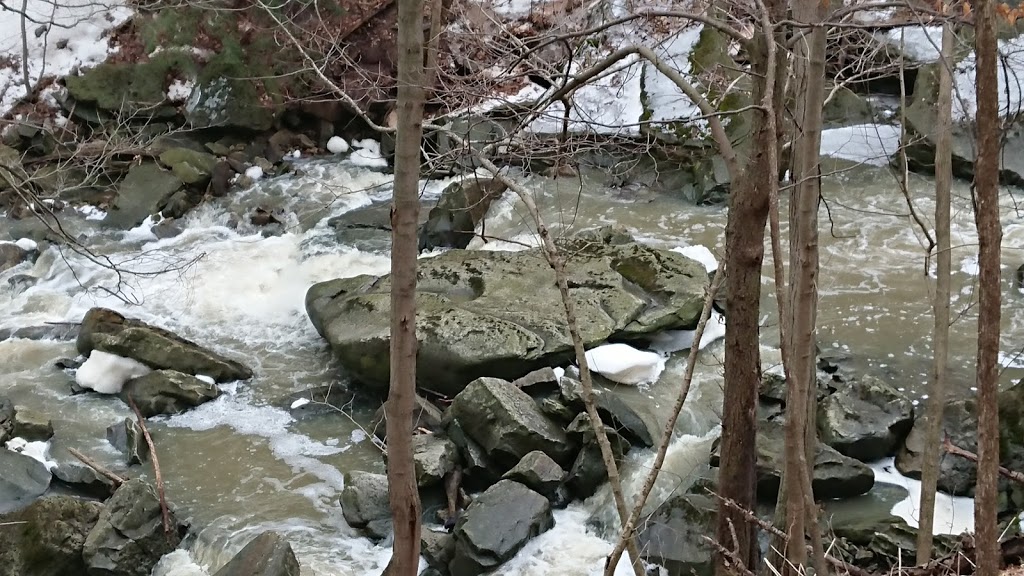 Trail Head- Bruce Side Trail | 4E7, Bruce Trail, Grimsby, ON L3M 3K1, Canada