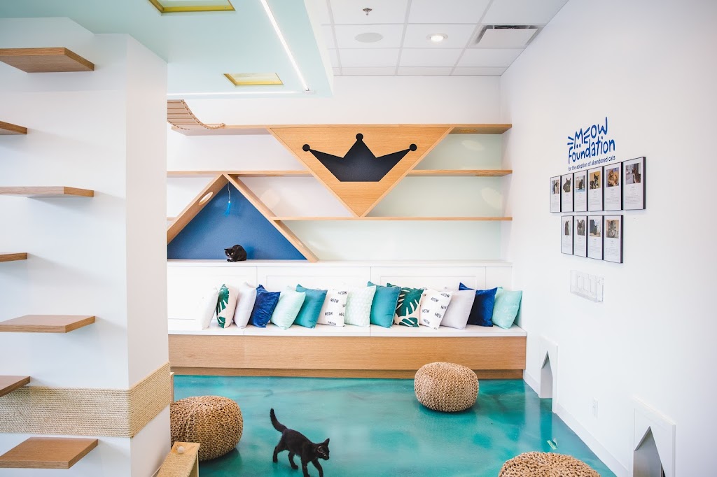 Regal Cat Cafe | 303 10 St NW, Calgary, AB T2N 1V8, Canada | Phone: (403) 455-2287