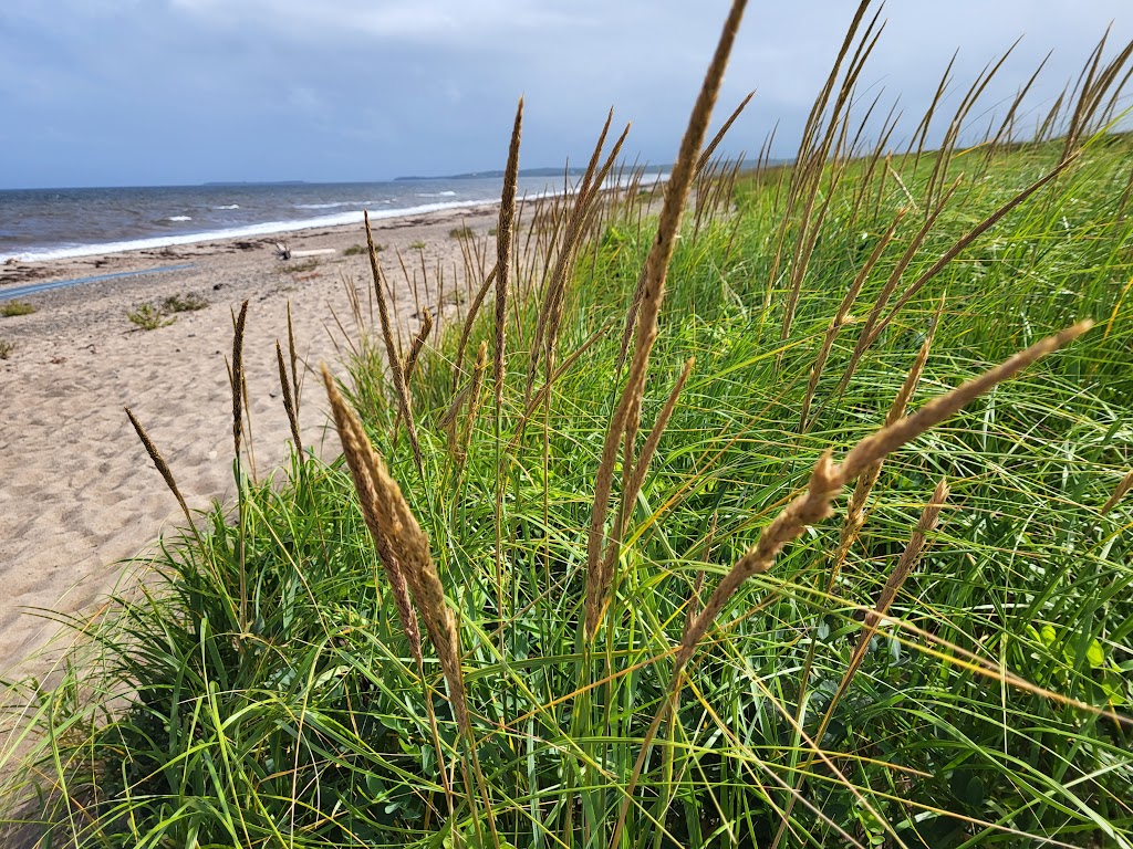 Pomquet Beach Provincial Park | 432 Pomquet Beach Rd, Antigonish, NS B2G 2L4, Canada | Phone: (902) 662-3030
