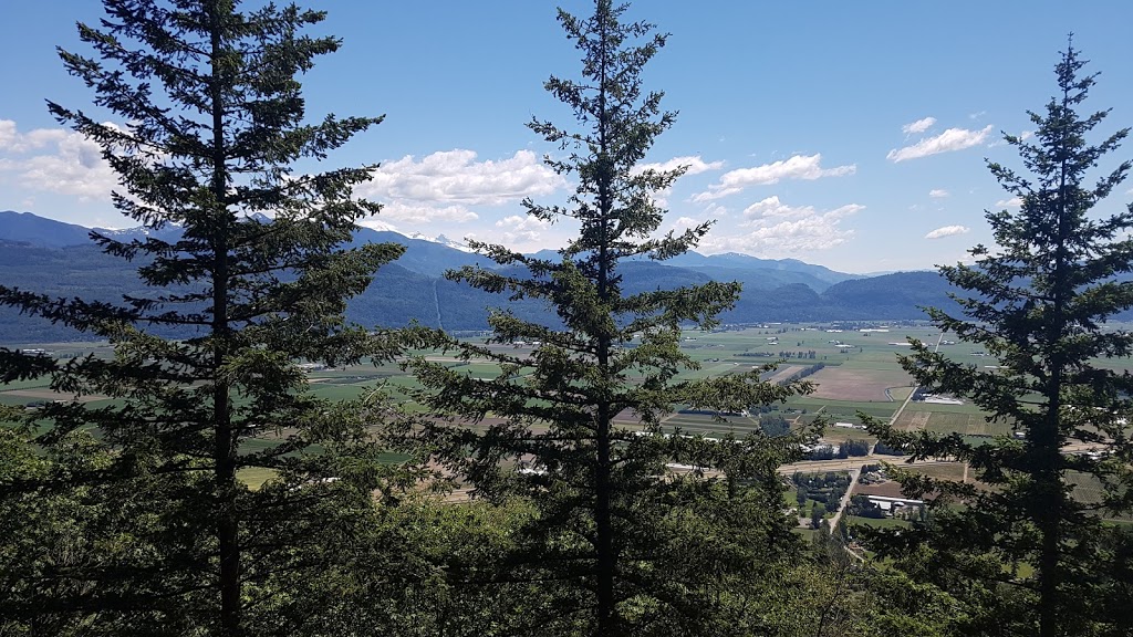 The abby grind | Lakemount Rd, Abbotsford, BC V3G 2T2, Canada