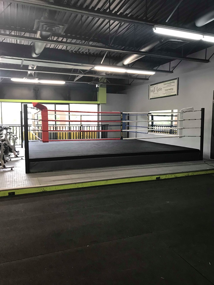 Club Boxing Lion Pierre-De Saurel | 96 Rue du Roi, Sorel-Tracy, QC J3P 4M3, Canada | Phone: (450) 880-5466