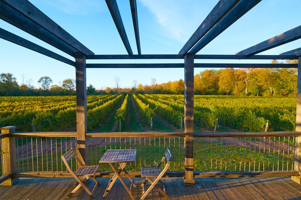 Prince Edward County Custom Wine Tours | 3 Sunshine Ln, Trenton, ON K6V 6X3, Canada | Phone: (343) 333-0740