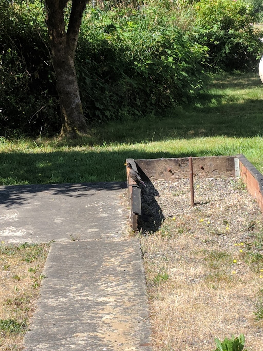 Josh VanderYacht Memorial Park | 4106 Valley Hwy, Deming, WA 98244, USA | Phone: (360) 599-2776