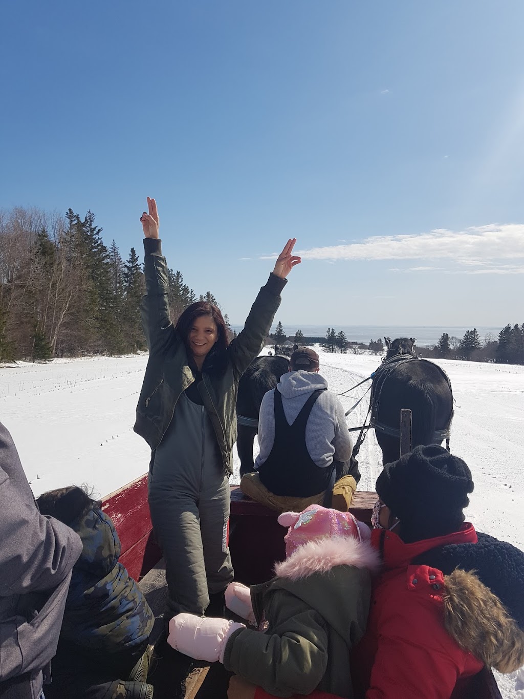 Potts Sleigh Rides | 439 Bonshaw Rd, Bonshaw, PE C0A 1C0, Canada | Phone: (902) 675-2107