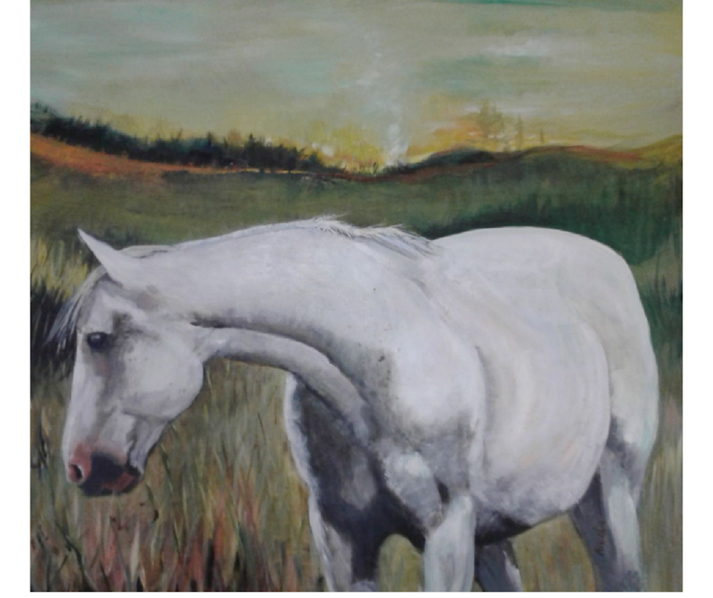 Sweet Moon Studio | 103139, Provincial Trunk Hwy 9, Sandy Hook, MB R0C 2W0, Canada | Phone: (204) 641-2473