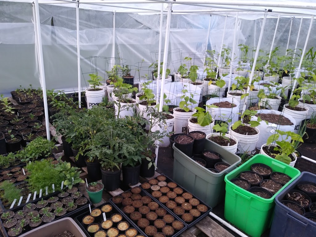 Grown Home Garden Solutions | 36 Skotoko Pl, Okotoks, AB T1S 1R5, Canada | Phone: (587) 441-4104
