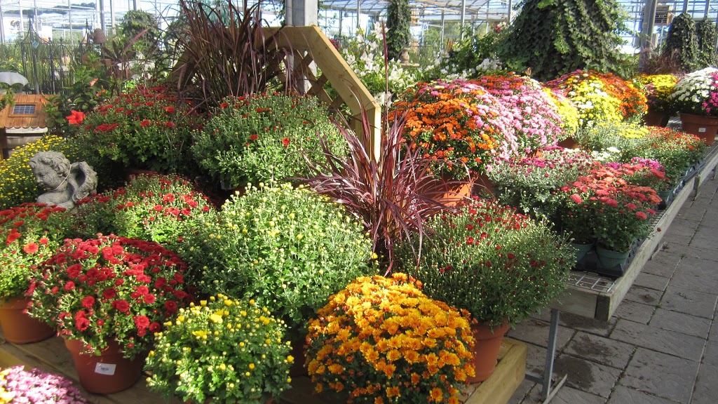 Van Dongens | 6750 Trafalgar Rd, Milton, ON L9E 0Z2, Canada | Phone: (905) 878-1105